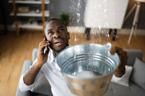 Best Carpet water damage restoration  in Bay Minette, AL