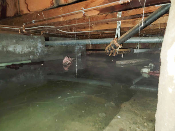 Best Residential water damage restoration  in Bay Minette, AL