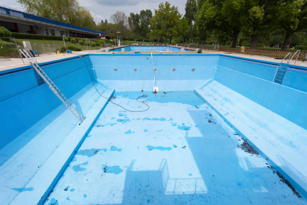 Best Flood damage cleanup  in Bay Minette, AL
