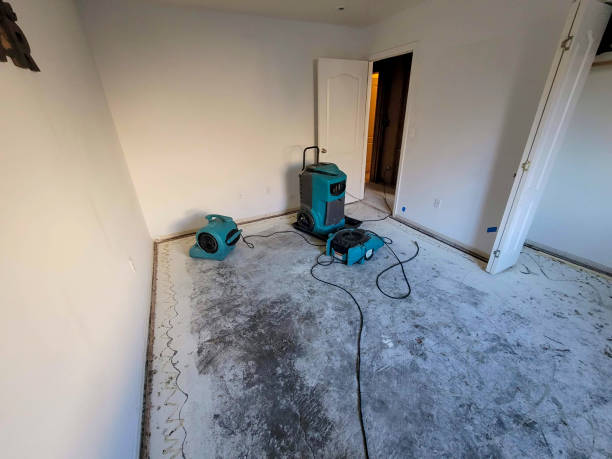 24/7 water damage repair in AL