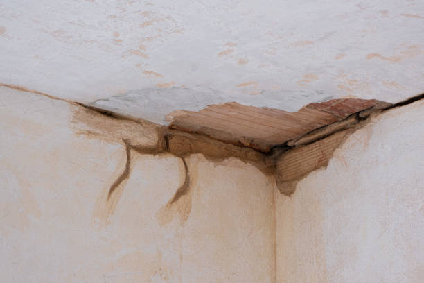 Best Carpet water damage restoration  in Bay Minette, AL