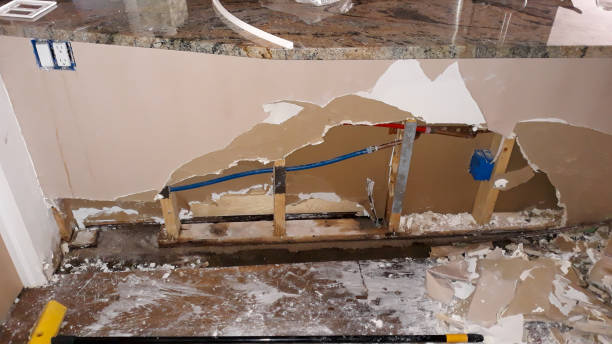 Best Water damage restoration near me  in Bay Minette, AL