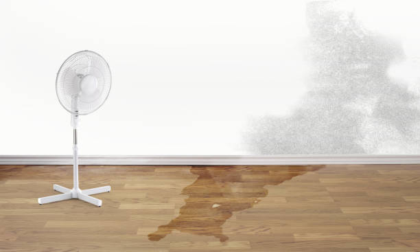Best Residential water damage restoration  in Bay Minette, AL
