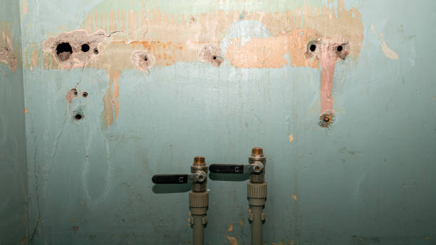 Best Basement water damage restoration  in Bay Minette, AL