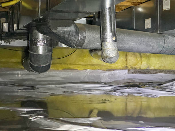  Bay Minette, AL Water damage restoration Pros