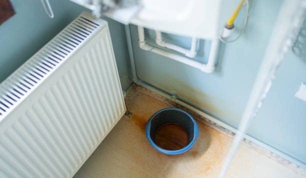 Best Water damage mitigation services  in Bay Minette, AL