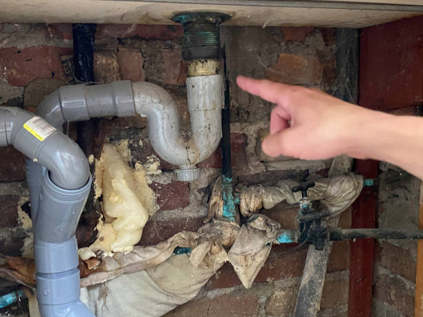 Best Mold removal after water damage  in Bay Minette, AL