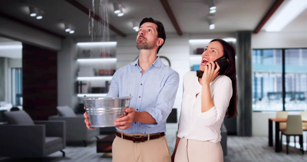 Best Basement water damage restoration  in Bay Minette, AL