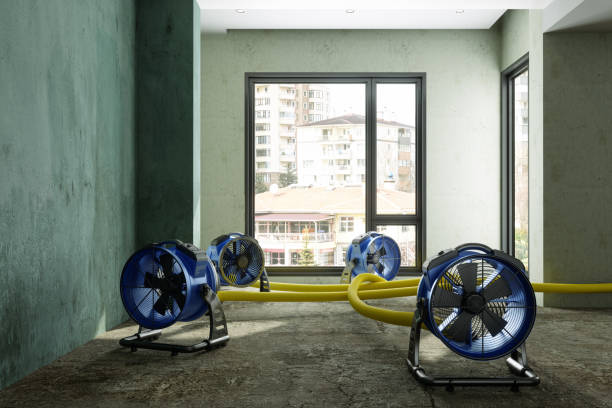 Best Water damage restoration process  in Bay Minette, AL